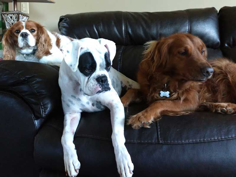 Ruby, Max & Louise